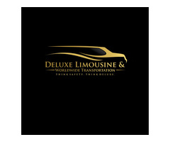 Deluxe Limousine & Transportation of Houston