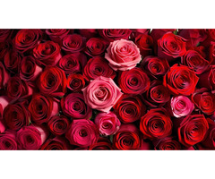 Flower Subscription SF – Fresh Blooms Delivered Weekly in San Francisco