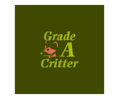 Grade A Critter