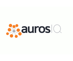 Auros Knowledge Systems