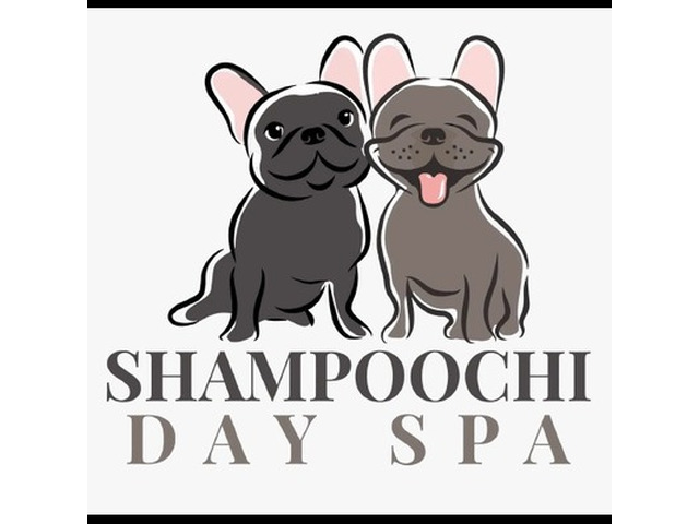 Shampoochi Day Spa Mobile Grooming