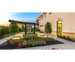 Dr. Sam Sukkar - The Clinic for Plastic Surgery