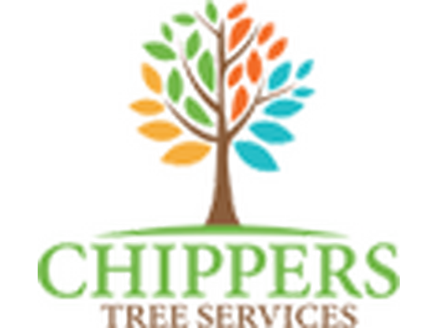 Tree Pruning Dallas TX