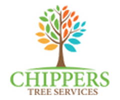 Tree Pruning Dallas TX