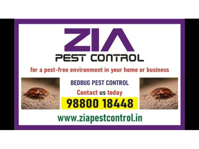 Bed Bugs Control | Bed Bugs Treatment | Bengaluru service provided | 341
