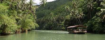 philippinen dschungel