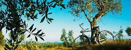 italien toskana