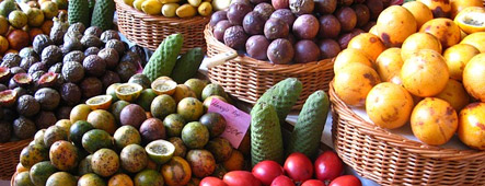 madeira obst