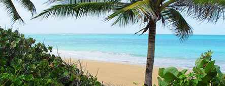 puerto rico einsamer strand