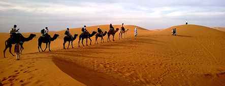 abu dhabi hochzeitsreise