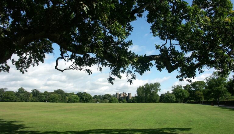 Das Longitude Festival – Musikalisches Highlight des Jahres im Raum Dublin