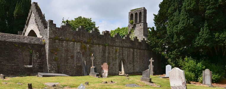 Die Ruinen der alten Abtei von Malahide