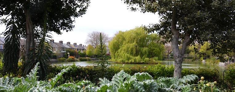 blessington street gardens