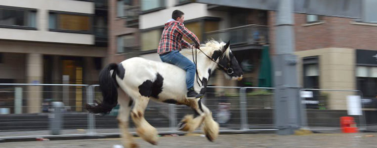 Im Galopp über Kopfsteinpflaster