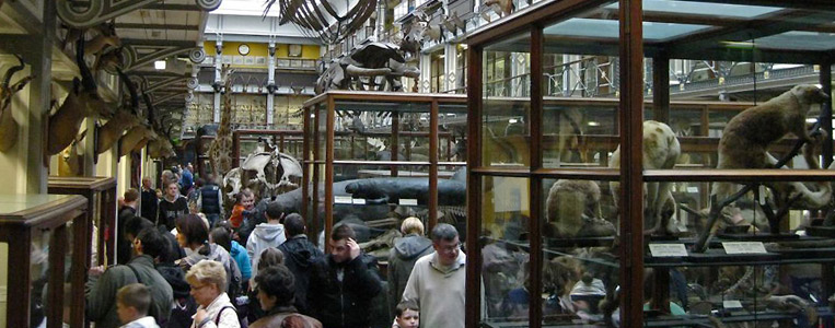 Das Museum beherbergt über 10.000 verschiedene Exponate