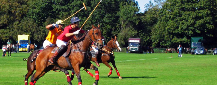 Rasante Action kann man bei Polo Matches im Phoenix Park bestaunen