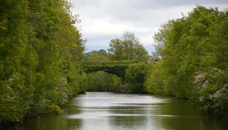 Tourismus und Reisen: Irland mit dem Hausboot entdecken