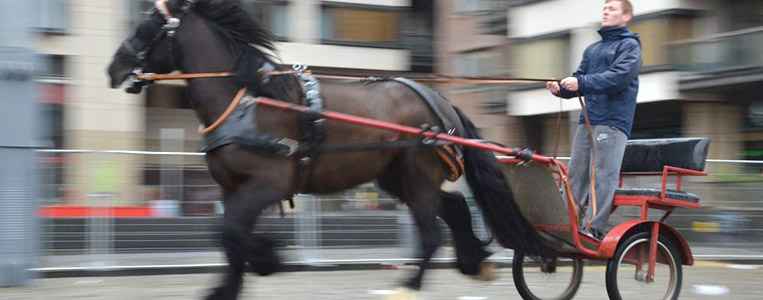 Smithfield Pferdemarkt