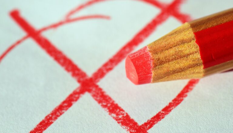 Parlamentswahlen in Irland werden vorgezogen