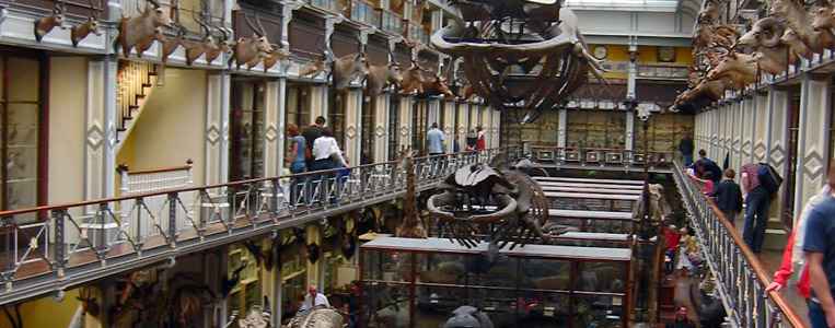 Blick auf die Große Halle von der Gallerie aus gesehen