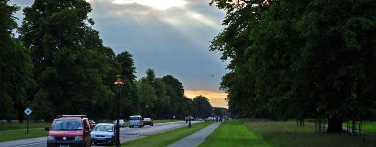 Der Phoenix Park in den Abendstunden