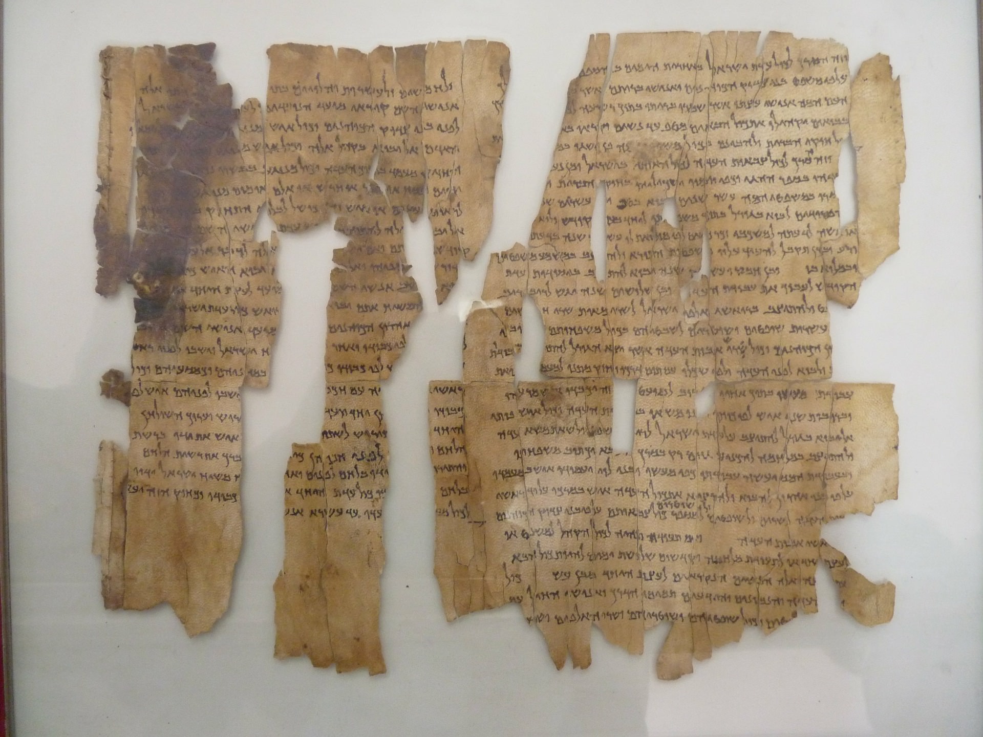 zitadellenhuegel amman biblische schrift