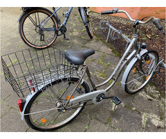 Stadtfahrrad Bavaria Line Lizzard für Damen, Nabenschaltung, Beleuchtung, Korb