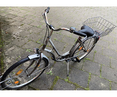 Stadtfahrrad Bavaria Line Lizzard für Damen, Nabenschaltung, Beleuchtung, Korb Stadtfahrrad Bavaria Line Lizzard für Damen, Nabenschaltung, Beleuchtung, Korb