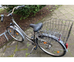 Stadtfahrrad Bavaria Line Lizzard für Damen, Nabenschaltung, Beleuchtung, Korb Stadtfahrrad Bavaria Line Lizzard für Damen, Nabenschaltung, Beleuchtung, Korb