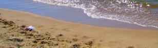 Ostsee, Wellness und Erholung