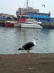 Hafen von Essaouira