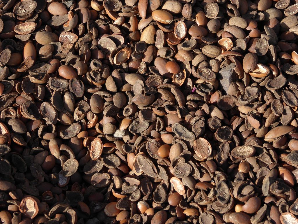 Flüssiges Gold – Arganöl