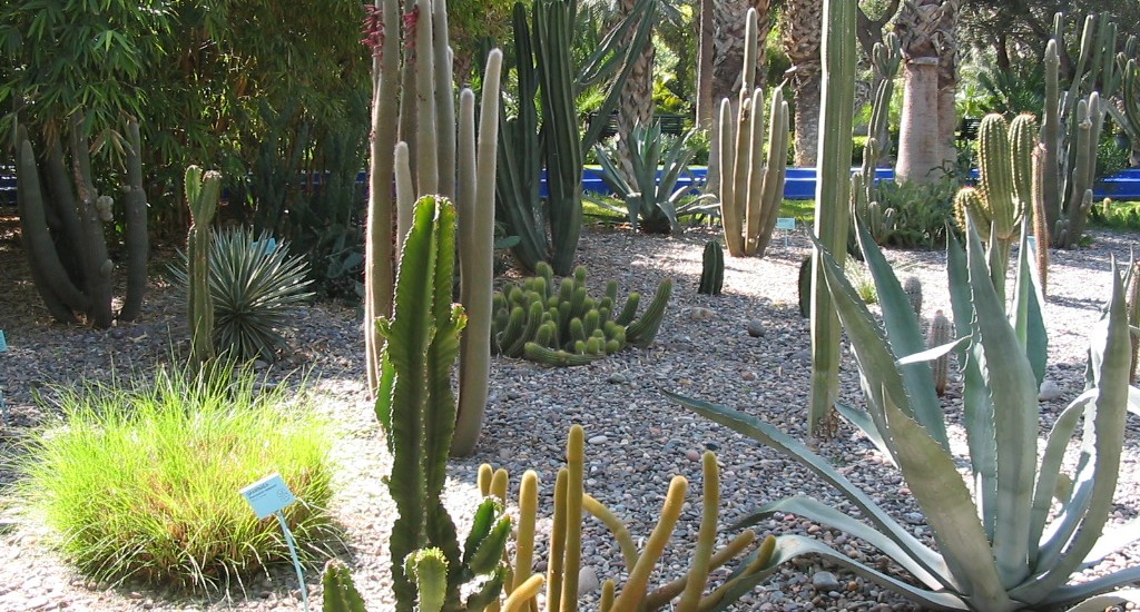 Jardin Majorelle