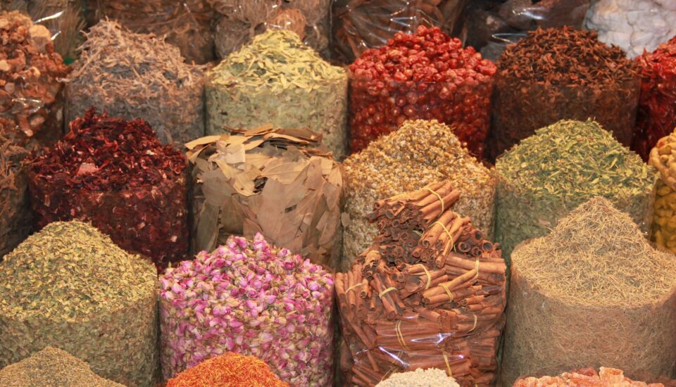 einfluss auf die kultur