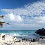Strand-Aruba