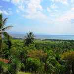 Wald-Hispaniola