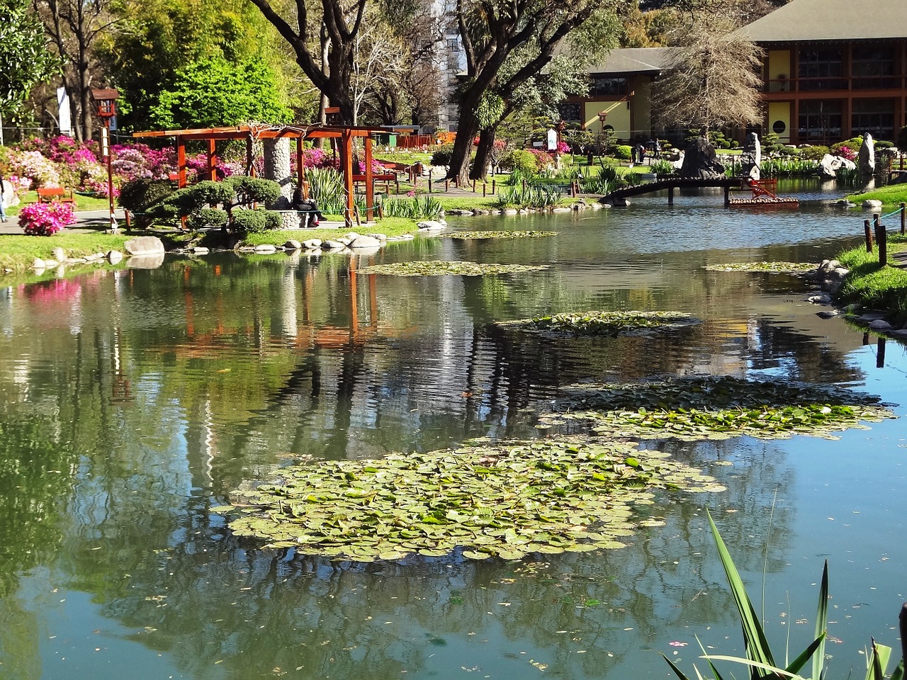 Buenos Aires - Japanische Garten lake