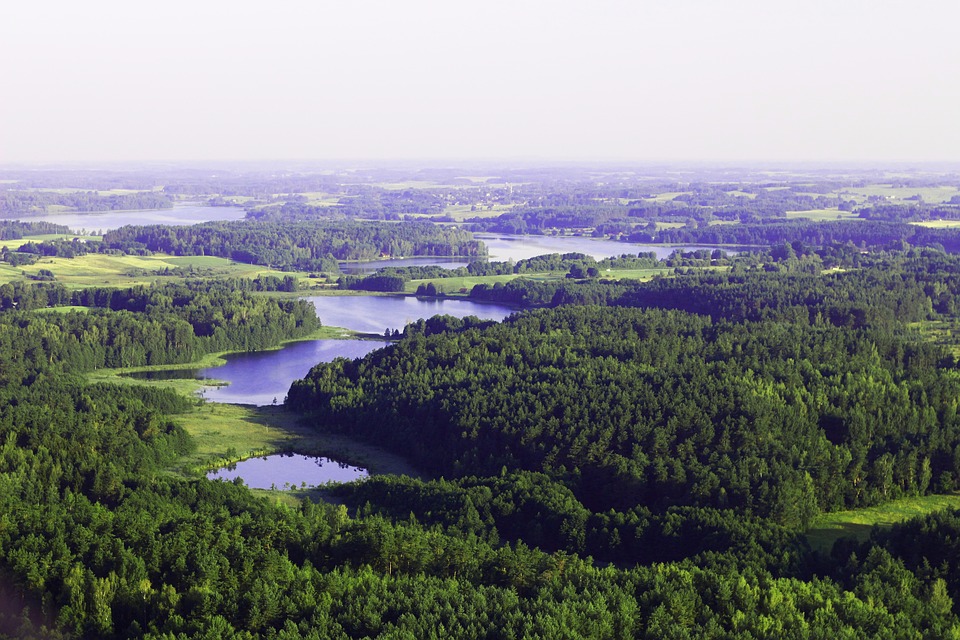 Landschaft Litauen