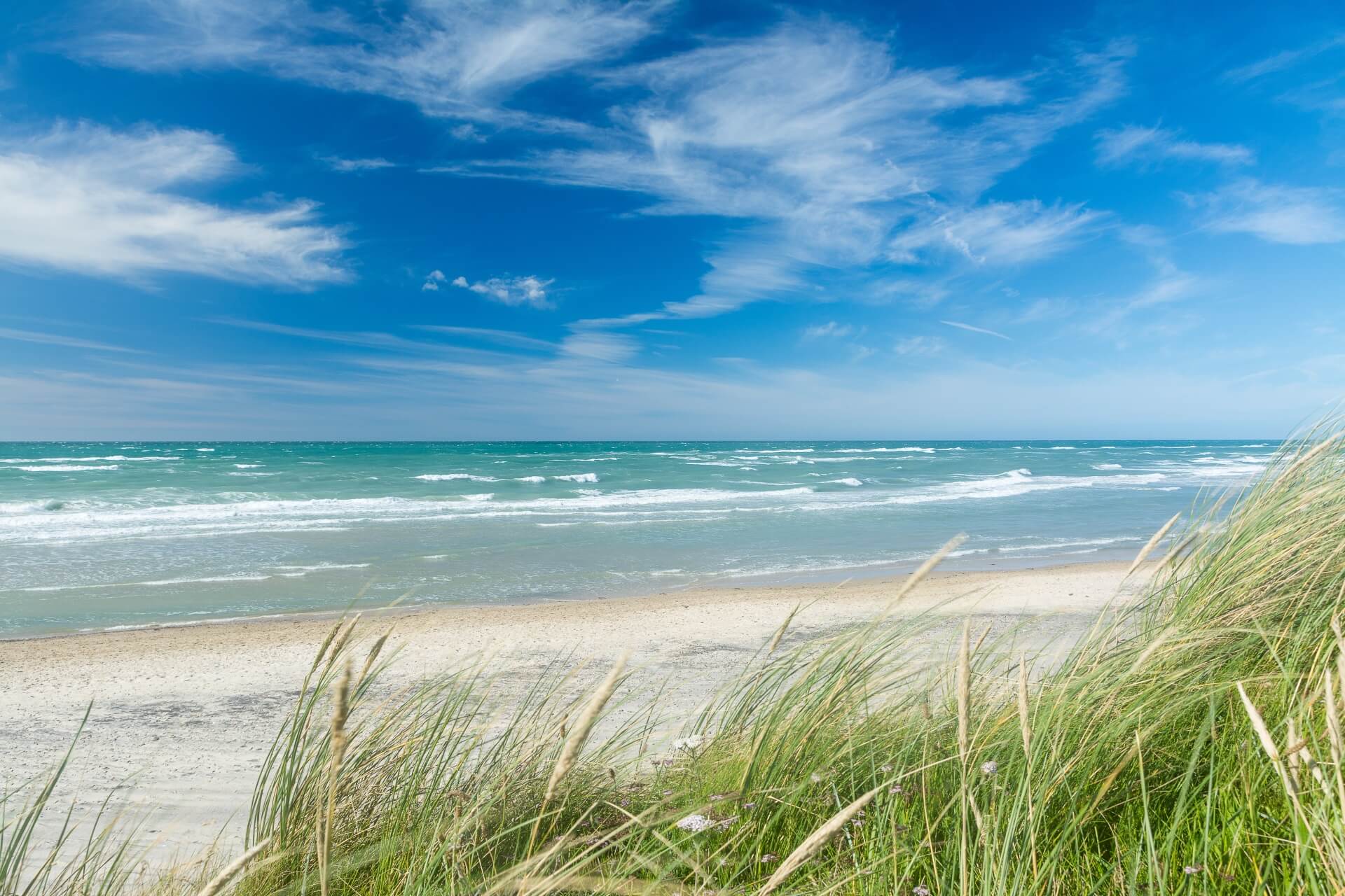 Nordsee-Strand