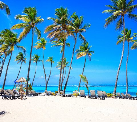 9 Tage in Playa Dorada Dominikanische Republik