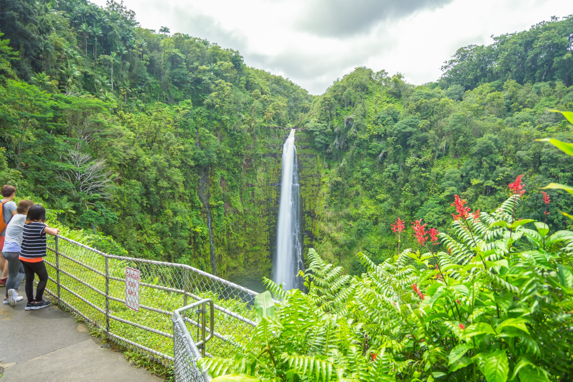 Die Akaka Wasserfälle von Hawaii