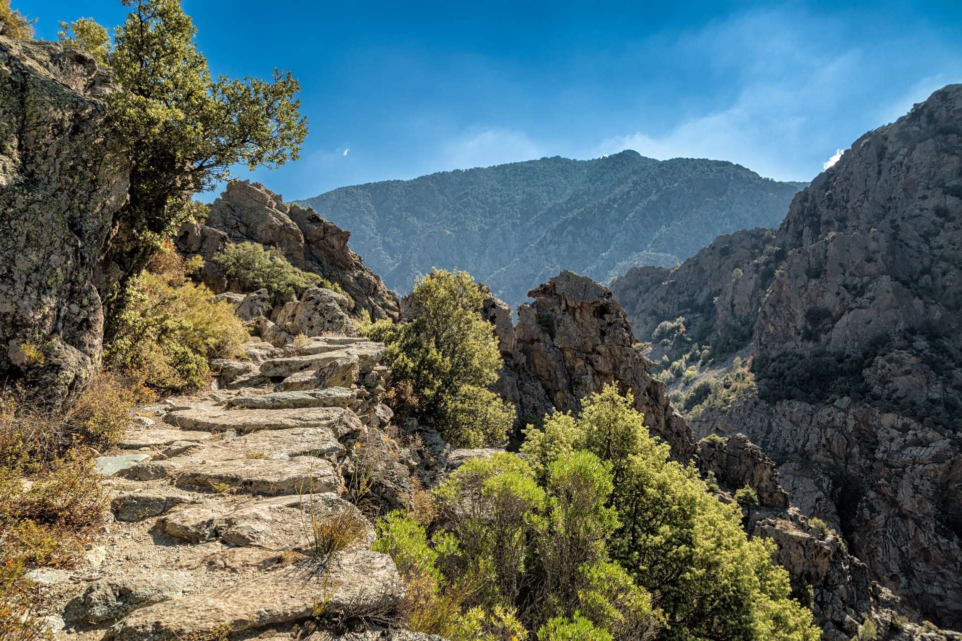 Die Schlucht Scala di Santa Regina auf Korsika