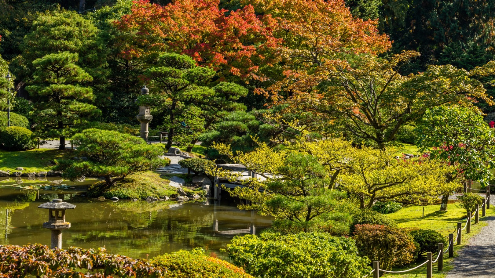 Der japanische Garten in Seattle. Outdoor auf Städtereisen
