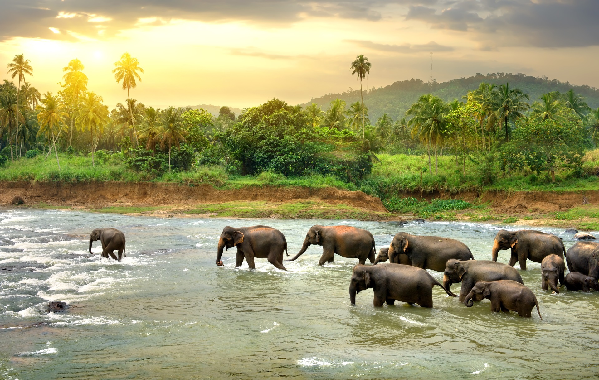 Bis zu 30% Rabatt REISESPECIALS