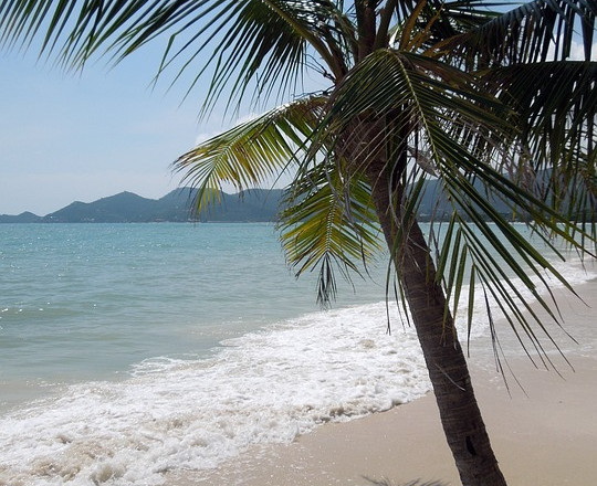 Reisen nach Koh Samui