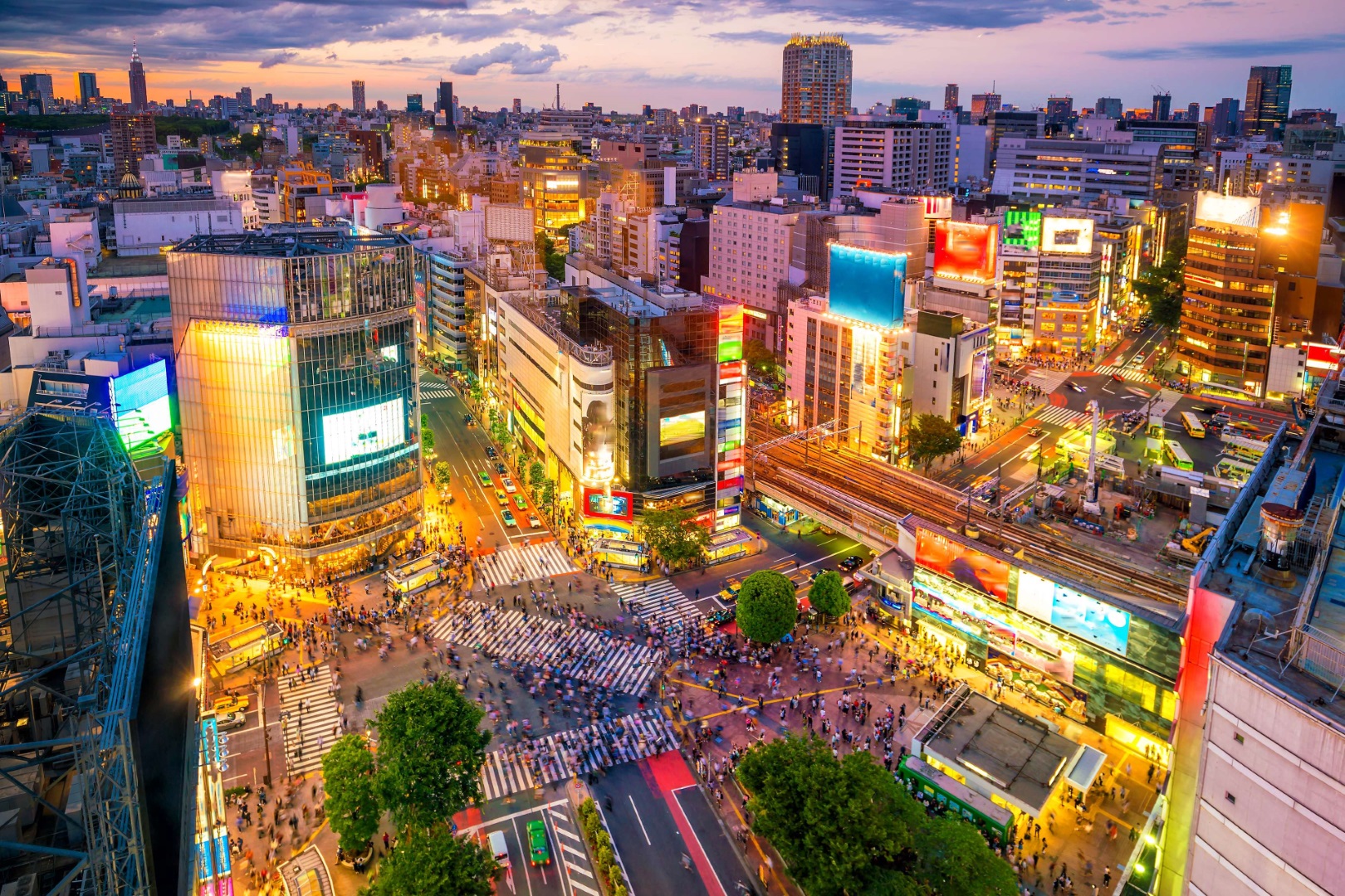 Die berühmte Shibuya Kreuzung in Tokio.