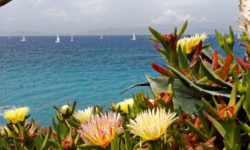 Das Blumenfest auf Rhodos – farbenprächtige Eröffnung des Sommers