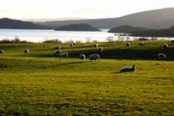 Loch Lomond in Westschottland