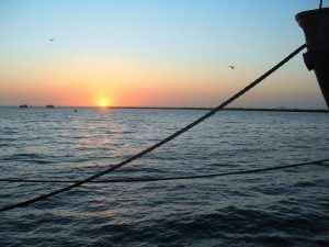 Walvis Bay ist der ideale Ausgangspunkt für Bootstouren