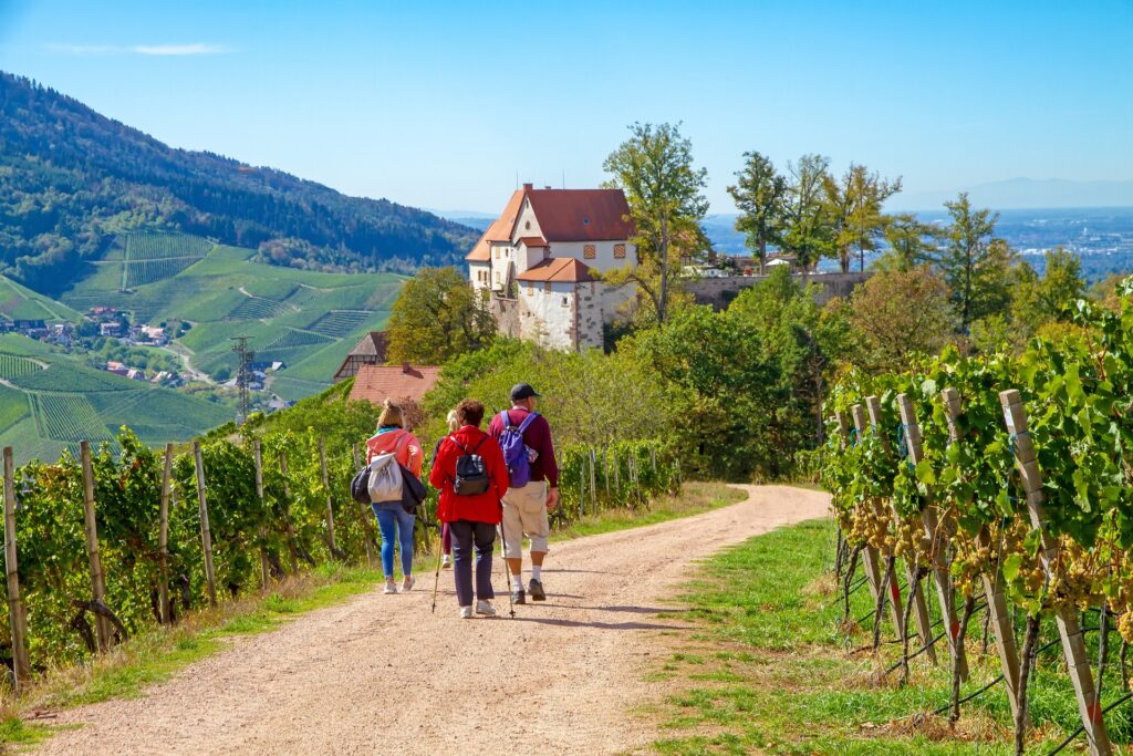 Schloss Staufenberg bei Durbach